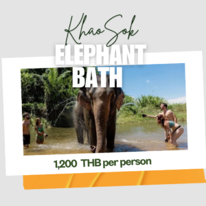 Elephant bath